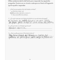 Activities For Spanish Reading Comprehension Journals (Actividades de comprensión lectora) - 12 journals