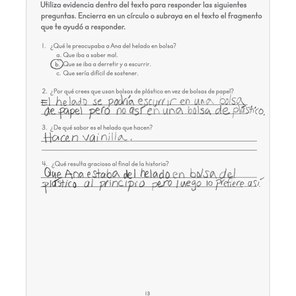 Activities For Spanish Reading Comprehension Journals (Actividades de comprensión lectora) - 12 journals