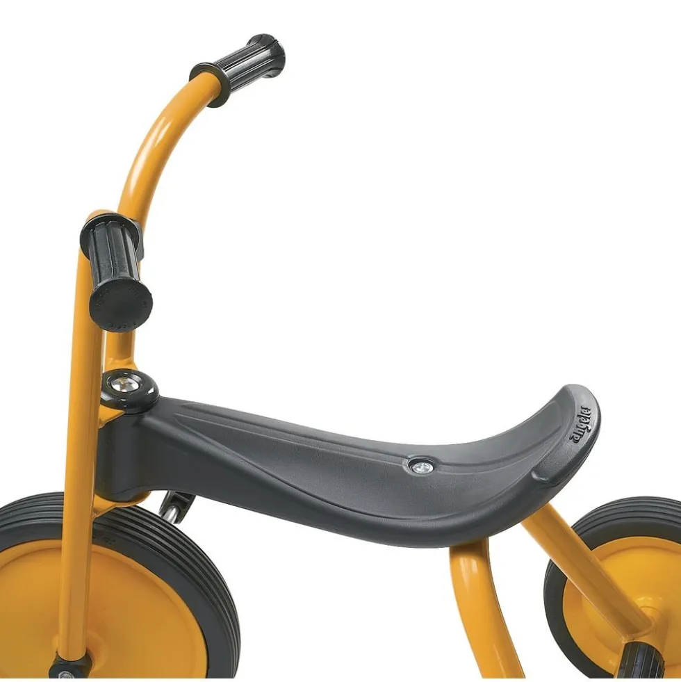Angeles® MyRider® Mini 10" Trike