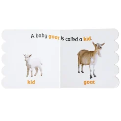 Baby Animals on the Farm (Rookie Toddler)