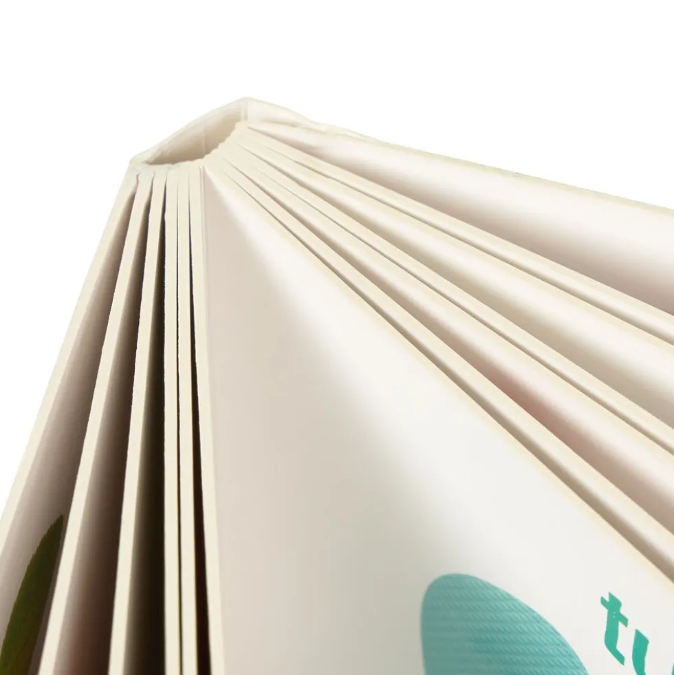 Baby Beginnings Bilingual - 4 book set