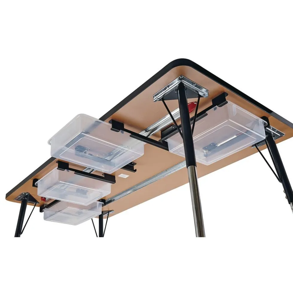 Berries® Store-It Drawer Kit with Clear Tray - Set of 2
