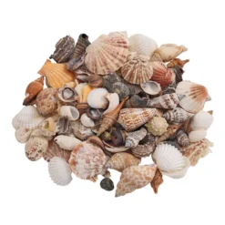 Colorations® Faith Based Sea Creations Craft Kit - Makes 50+ Crafts