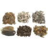 Colorations® Natural Feathers Classroom Pack