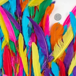 Colorations® Rainbow Duck Quill Feathers - 1 oz.