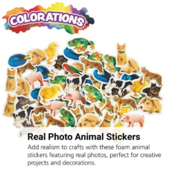 Colorations® Real Photo Animal Foam Stickers - 250 Pieces