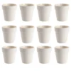 Colorations® Shamrock Paint Flower Pot Art - Makes 12 Crafts