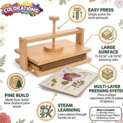 Colorations® Specimen Press Kit