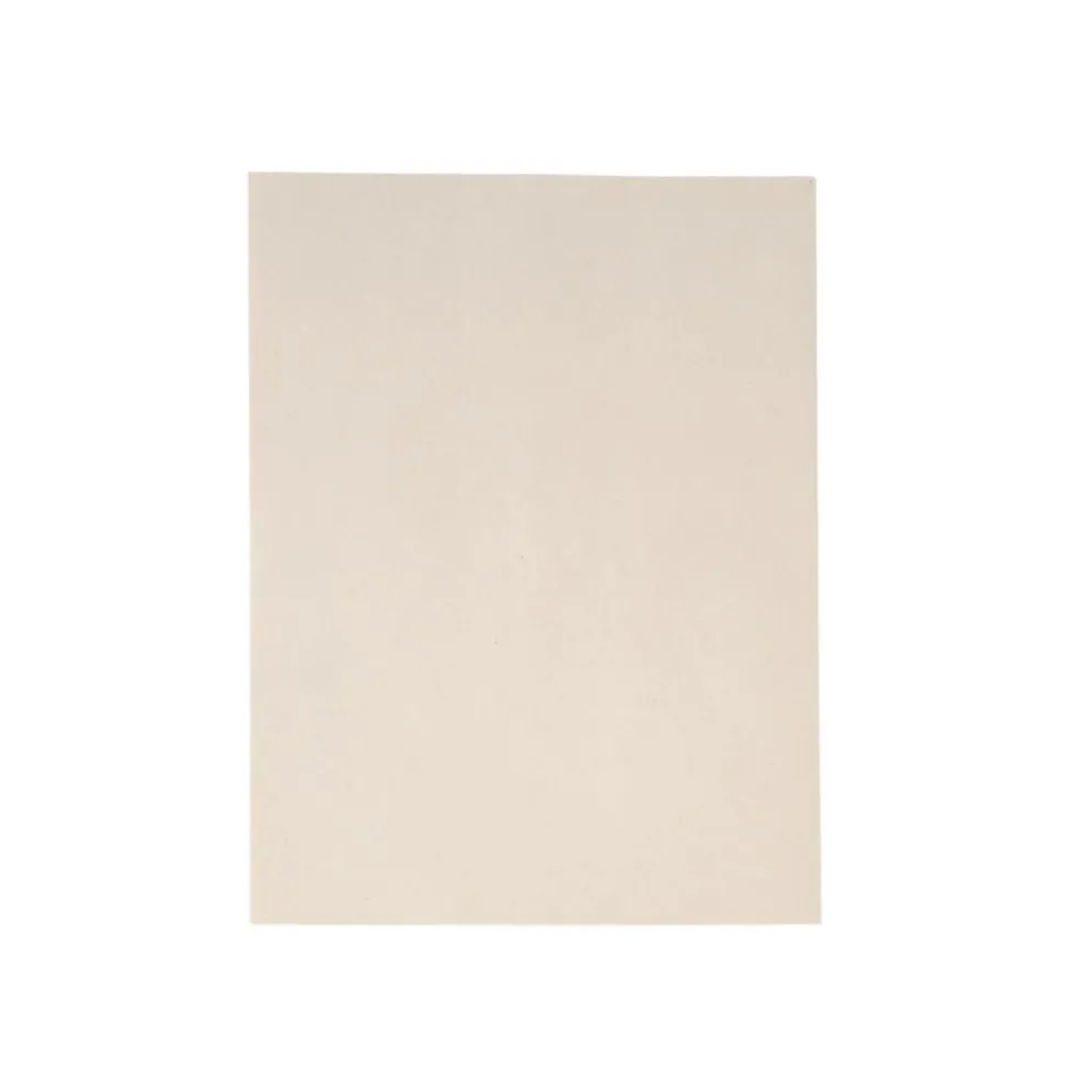 Colorations® Specimen Press Paper - 200-Pack Blotting Sheets