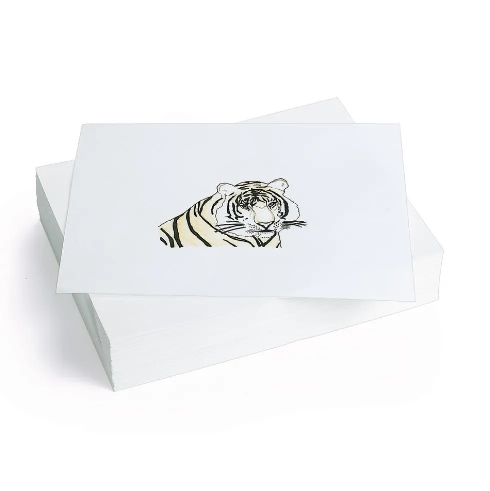 Colorations® White Sulphite Paper - 9" x 12", 50 lb.