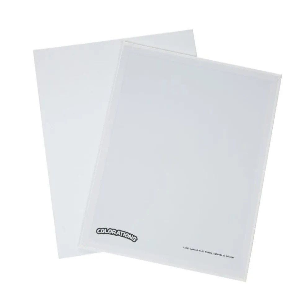 Colorations®11" X 14" Canvas Panels - Set of 6
