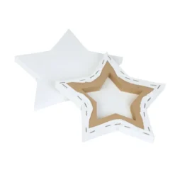 Colorations® 8" x 8" Star Shaped Canvas - Set of 10