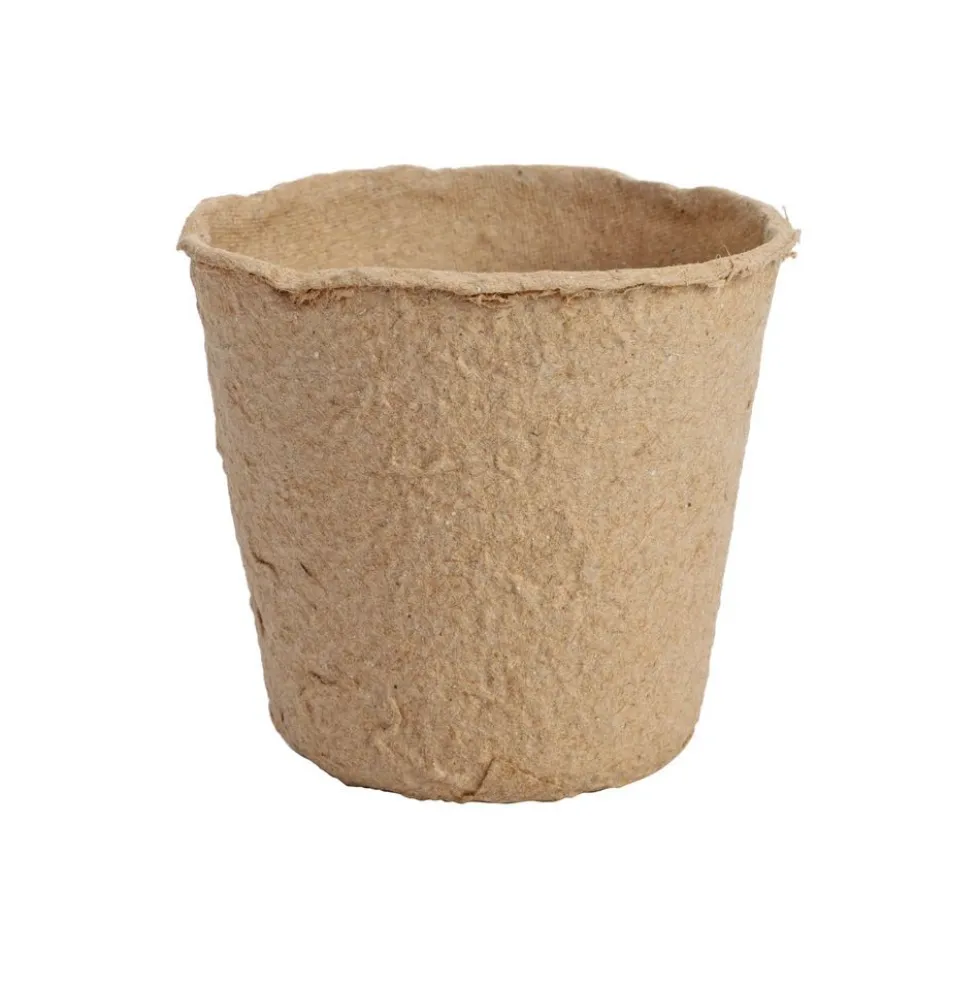 Decorate Your Own Seeds Pots, Set of 24