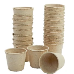 Decorate Your Own Seeds Pots, Set of 24