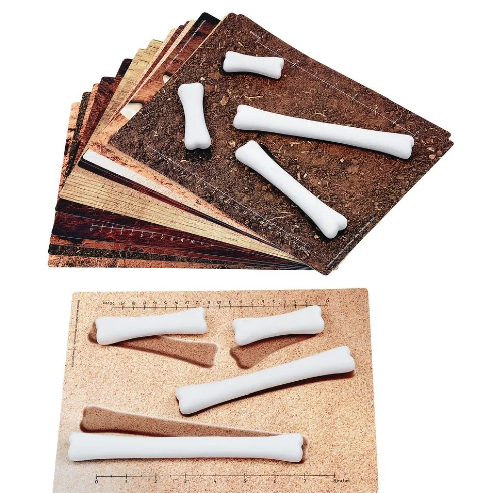 Dinosaur Bones Match & Measure Set