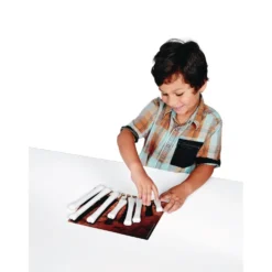 Dinosaur Bones Match & Measure Set