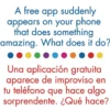 Dual Language Morning Meeting Cards - (Lenguaje Dual: Tarjetas de Reuniones Matutinas) - 40 Cards