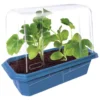 Edible Garden - Set of 6
