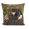 Environments® Baby Woodland Animal Pillows - Set of 4