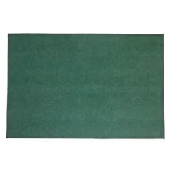 Environments® Dunes Indoor/Outdoor Carpet 4' x 6' - Coastal Pine