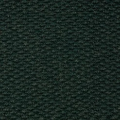 Environments® Dunes Indoor/Outdoor Carpet 4' x 6' - Coastal Pine