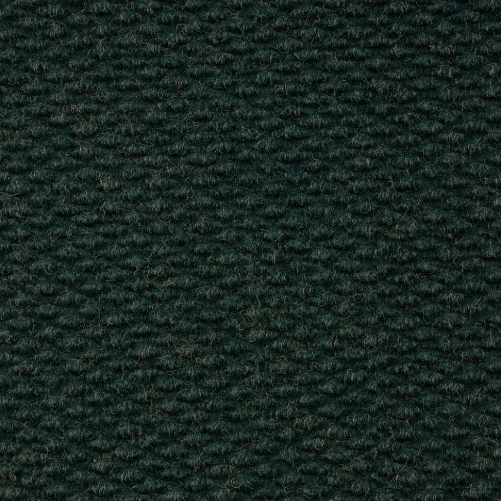 Environments® Dunes Indoor/Outdoor Carpet 4' x 6' - Coastal Pine