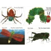 Eric Carle Hardcover Favorite Books - 4 Titles