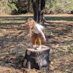 Evolve Play Bear Stump