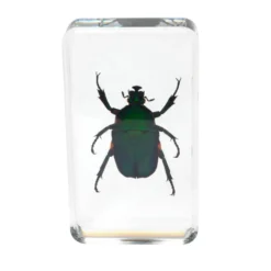 Excellerations® Acrylic Garden Friends Specimens - Set of 4