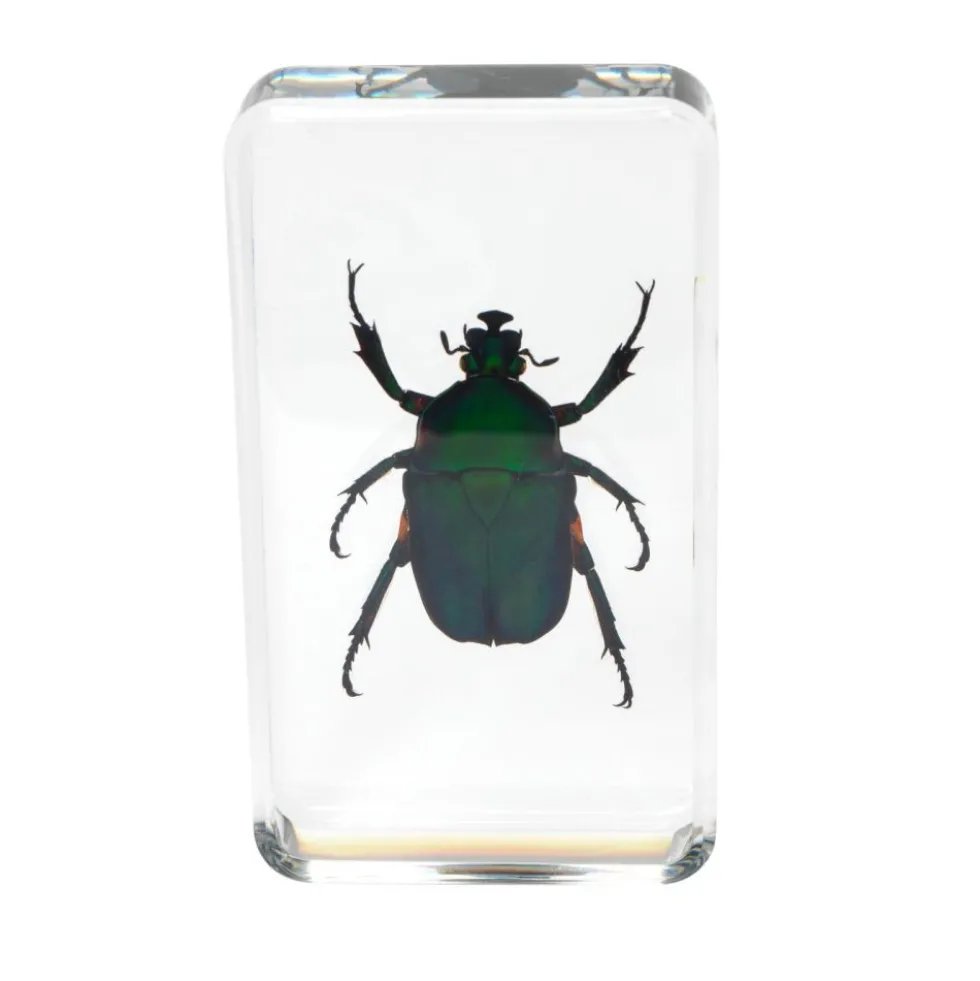 Excellerations® Acrylic Garden Friends Specimens - Set of 4