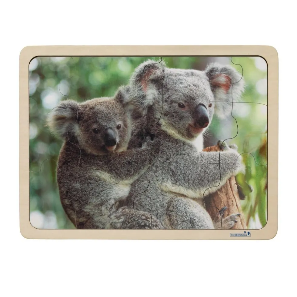 Excellerations® Animal Families Around the World Wooden Puzzles and Posters Set of 9