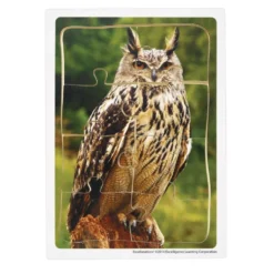 Excellerations® Animals in Their Biomes Puzzles - Set of 8