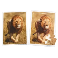 Excellerations® Animals in Their Biomes Puzzles - Set of 8