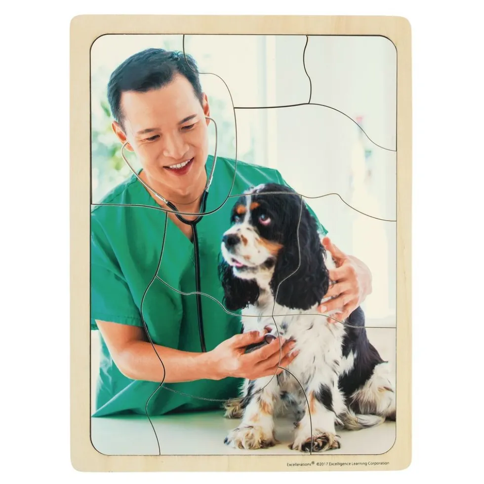 Excellerations® Career Puzzles Set of 12