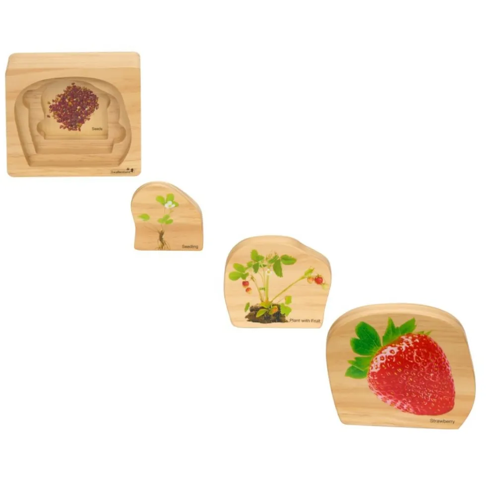 Excellerations® earlySTEM™ Life Cycle Nesting Puzzles - Fruit - Set of 3