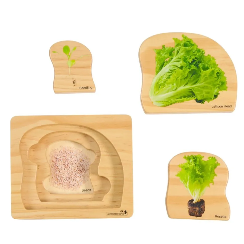 Excellerations® earlySTEM™ Life Cycle Nesting Puzzles - Vegetables - Set of 3