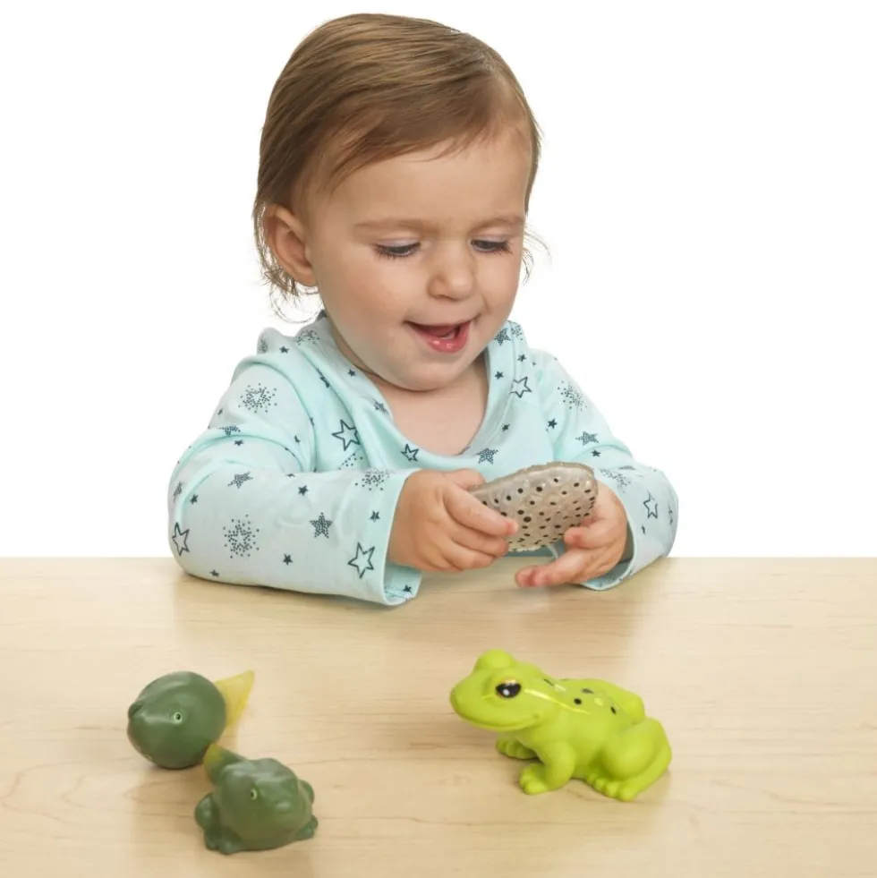 Excellerations® earlySTEM™ My First Soft Frog Life Cycle - 4 Models