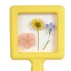 Excellerations® earlySTEM™ Specimen Viewers - Set of 4