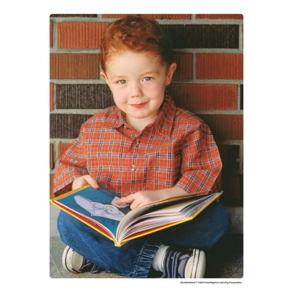 Excellerations® Emotions & Moods Posters for Schools - Set of 25