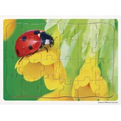 Excellerations® Garden Creature Puzzles - Set of 8