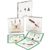 Excellerations® Insect Life Cycle Specimens - Set of 5