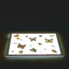 Excellerations® Laminated Specimen Set 28 Pieces