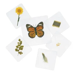 Excellerations® Laminated Specimen Set 28 Pieces
