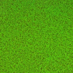 Excellerations® My First Playmat Grass Design