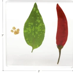 Excellerations® SpeciFun™ 4 Fruit + Vegetable Lifecycle Tiles & Cards