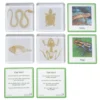 Excellerations® SpeciFun™ 4 Skeleton Specimen Tiles & Cards