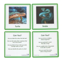 Excellerations® SpeciFun™ 4 Skeleton Specimen Tiles & Cards