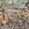 ExploreNook™ Small World - Wooden Multi-Figure Set of 16