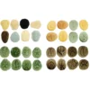 Footprints, Bugs & Fossils Stones - Set of 32