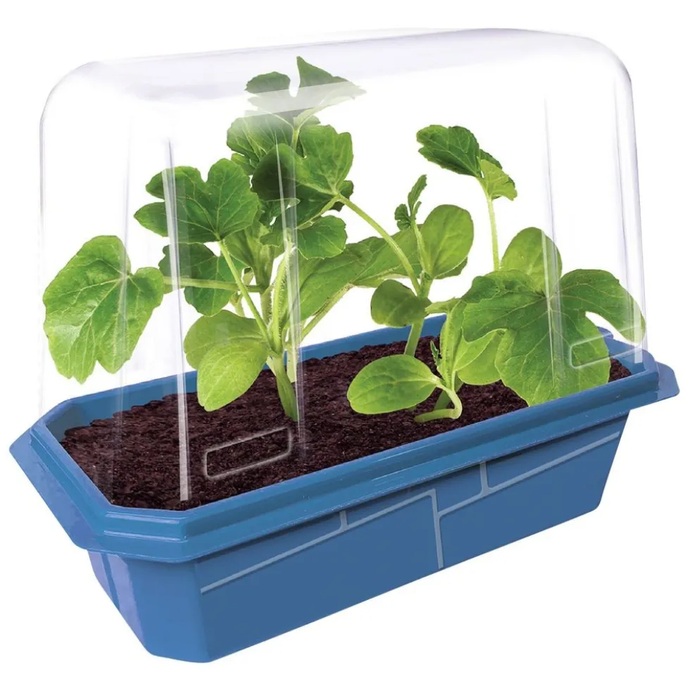 Garden Grow Kit - Greenhouse + 6 plants